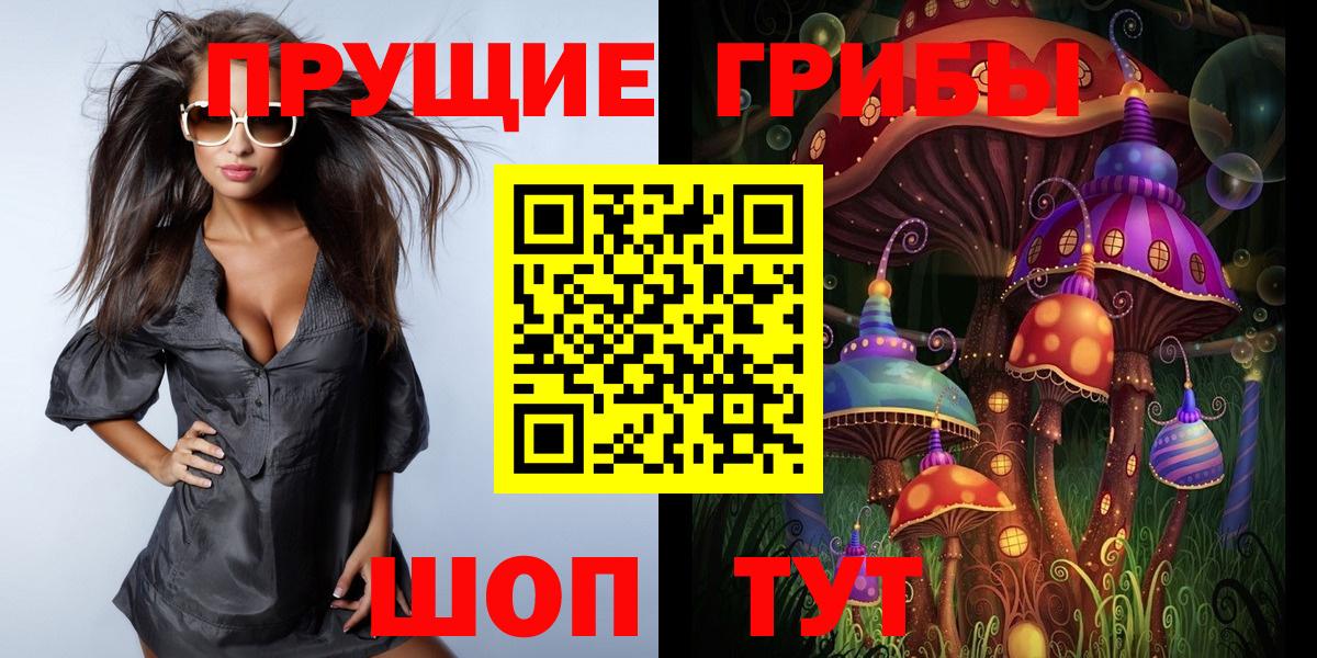 Галлюциногенные грибы Psilocybine cubensis  Вход с VPN  Касимов 